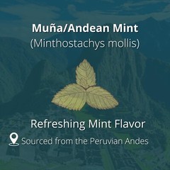 Andean Mint Tea Te de Muña 100 Tea Bags – 100% All Natural Wild Muna Leaves Peru