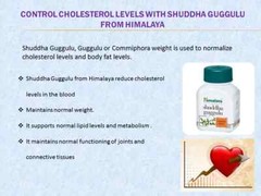 HIMALAYA Shuddha-Guggulu 1 Box 60 Tablets 2026 Expiry Buy 2 Get 1 Free