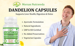 Dandelion (Taraxacum officinale) Capsules Herbal Supplement Pack 240 Veg Capsule