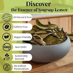 Soursop Leaves, 200+Graviola Leaves, Hojas De Guanabana Leaf, Tea,