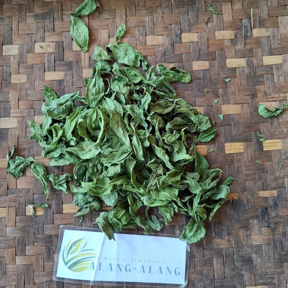 Daun Beluntas – Pluchea Indica Less Leaves