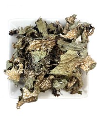 Lungwort Lichen Moss ( Pulmonaria officinalis) Dried Herb Tea Fresh Batch RARE