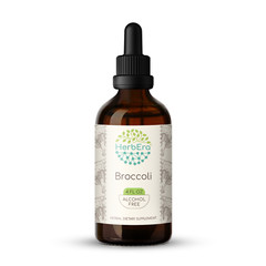 HerbEra Broccoli Alcohol-FREE Tincture, (Bao Zi Gan Lan, Brassica Oleracea)