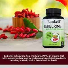 1200MG BERBERINE HCL with CEYLON CINNAMON capsules Supports immune Function
