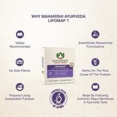 40 Livomap Maharishi Ayurveda ayurvedic fast shipping