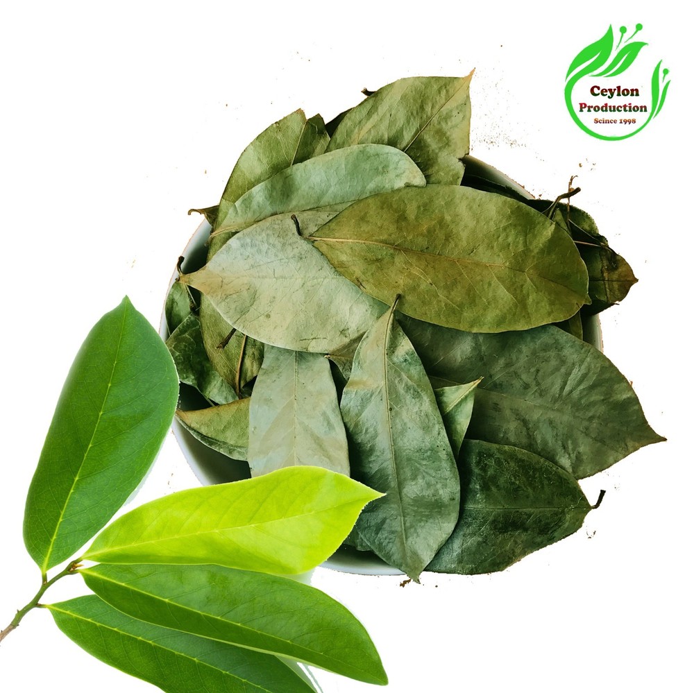 Dried Soursop Leaves Natural Graviola Herbal Tea Whole Leaf Premium Quality