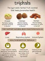 Sri Sri Tattva Ayurveda TRIPHALA 60 Tablets | 500mg Tablet | Free Shipping