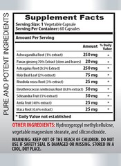 immune support supplement – ASHWAGANDHA EXTRACT – astragalus blend 2BOTTLE