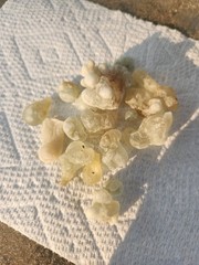 4 oz genuine Hojari Green frankincense 1/4lb – Ethically sourced from Oman