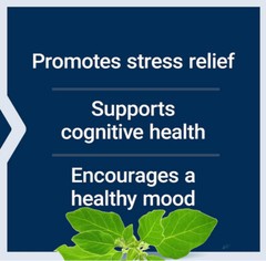 OPTIMIZED ASHWAGANDHA EXTRACT STRESS ANXIETY 60 Capsule LIFE EXTENSION