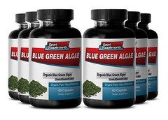 Klamath Blue Green Algae – Organic Blue Green Algae 500mg – Vital Enzymes 6B