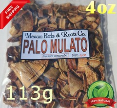Palo mulato bursera simaruba naked indian mulatto stick jiñocuabo gumbo limbo