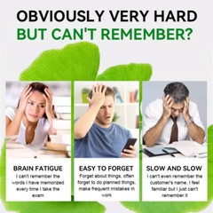 Ginkgo Biloba 120 Mg Capsules Support Brain Health Boosts Mental Clarity & Focus