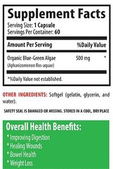 Spirulina Tablets – Organic Blue Green Algae 500mg – Stem Cell Activator 1B