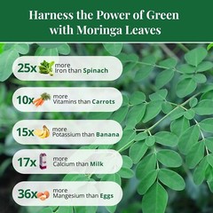 Premium Dried Moringa Leaves 5.2oz, MoringaLeaves Tea, Immune Support Herbal Tea