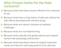 Masculine Herbal Complex by NeoLife – Balances Male System | Erectile Support