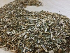 Wild Lettuce, L. virosa, Whole Herb, 1 oz Free Ship ~ Schmerbals Herbals