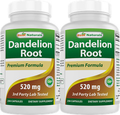 2 Pack Best Naturals Dandelion Root 520 mg 250 Capsules