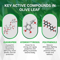NESSARIT Olive Leaf & Olive Fruit 60% Oleuropein 60% Hydroxytyrosol – Black S…
