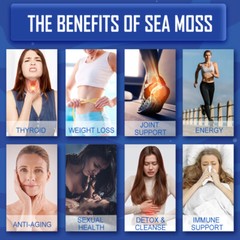 Organic Sea Moss Capsules for Kids & Adults, Vegan Irish Seamoss, 240 Capsules