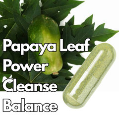 Papaya Leaf Capsules | 60/120 Ct | Vegan | 100% Natural Digestive & Immune Aid