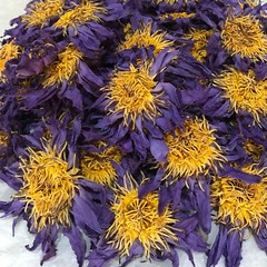 Blue Lotus |Nymphaea Caerulea| 100% Organic Herbal Hand Picked Pure Flowers Tea