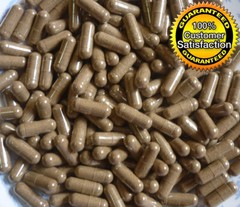 CAPSULES CENTELLA ASIATICA GOTU KOLA PEGAGAN Organic Wild Crafted pure Herbal
