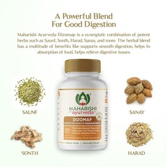 Maharishi Ayurveda Dizomap for Healthy Digestion 120 Tabs FREE SHIP