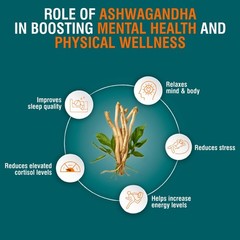 300 Tablets Himalaya Ashwagandha – General Wellness Tablets | Stress Relief