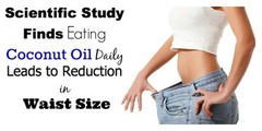 Vegan coconut oil – Coconut Oil 3000mg – Pure coconut goodness 1 Bottle 60 Caps