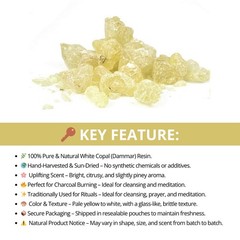 1 oz Frankincense Myrrh Copal 3 kings Arabic Gum Opoponax Dragon Blood Pea Resin