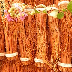 Red Korean Ginseng Roots, Whole Root Pieces, Red Panax Ginseng Roots 100 Grams