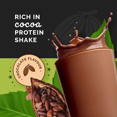 Wellversed Plant Protein (500g) | High Potency | 100% Vegan