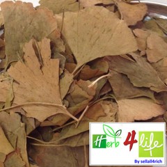 100% ORGANIC GINKGO LEAF CAPSULE (500mg/capsule) MEMORY, IMPROVE ALERTNESS GINKO