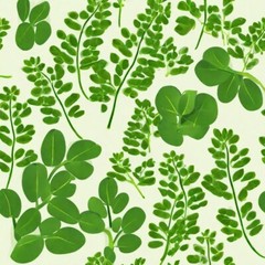 Moringa Extract Tincture (Moringa Oleifera) Liquid Moringa Herbal 2oz USA