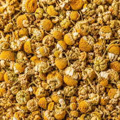 Dried Chamomile Flowers 16oz Whole Herbal Tea Flowers Bulk Natural Loose Herb