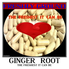 GINGER ROOT Fresh Ground Powder The Freshest It Can Be 100 V Capsules