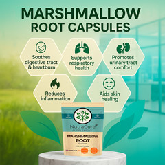 Marshmallow Root Capsules 5500mg(30% Mucilage)-Digestion & UTI Support-100%Vegan