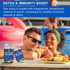 120 Pills Organic Sea Moss Capsules,Irish Sea Moss, Bladderwrack Immune Health