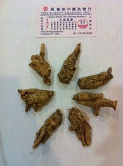 Ginseng Half Wild 7 year from Wisconsin USA 1LB
