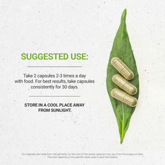 Secrets Of The Tribe Bugleweed Capsules, 400 mg