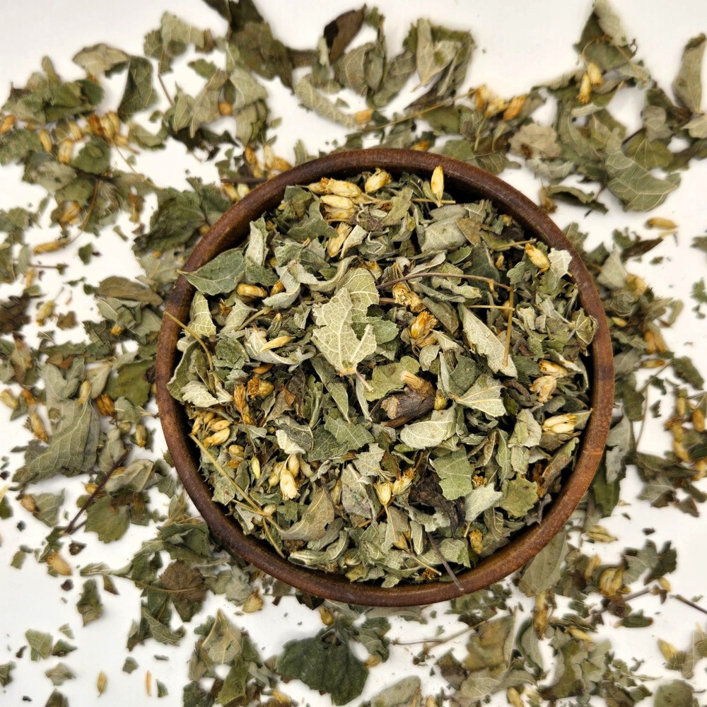 Calea Zacatechichi Dried Leaves | Mexican Dream Herb Loose Leaf