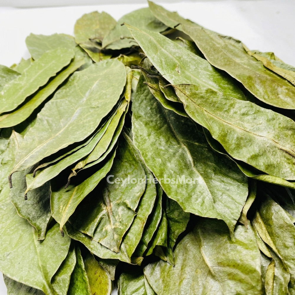 Organic Dried Soursop Graviola Leaves / Leaf Herbal Tea Hojas De Guanabana