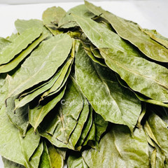 Organic Dried Soursop Graviola Leaves / Leaf Herbal Tea Hojas De Guanabana
