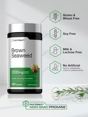 Brown Seaweed Capsules 2000mg | 200 Count | Fucoxanthin Supplement | by Horbaach