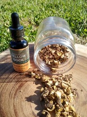 Yellow Dock Root herbal liquid Extract Tincture Blood, liver, Iron, 1oz