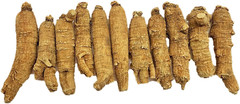 Hand-Selected a Grade American Ginseng Large Medium-Short Size (4 Oz. Box)
