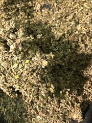 No.41 Mixed – Damiana Mullein Marshmallow Lobelia Skullcap Uva Ursi – 4 Ounce’s
