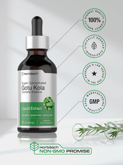 Gotu Kola Extract 2oz Alcohol-Free Concentrated Liquid Herb Gluten Free Non-GMO