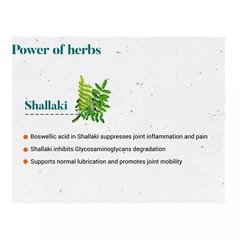 5 X Himalaya Shallaki ( 5 X 60 Tabs ) 300 Tablets Herbs Ayurvedic